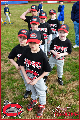 2014 Mudcats Baseball